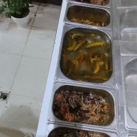 سبزی ترشی ریحون روبه رو شهرداری آماده ارائه هستیم|خوردنی و آشامیدنی|شیروان (خراسان), |دیوار