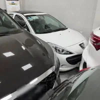 ۲۰۷ پانااتومات