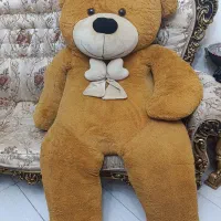 خرس دو متری نو