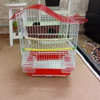 قفس فنج|لوازم جانبی حیوانات|نسیمشهر, |دیوار