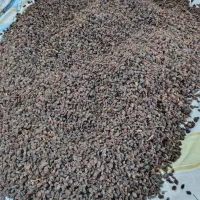 مویز و کشمش بدون هسته درجه یک