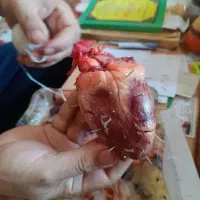 دعا نویس و کتب الدعا مجرب
