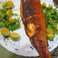 غذاهای خانگی