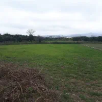 زمین-1500مترفاصله-باانشعابات-100متر-روستای-خشکرود