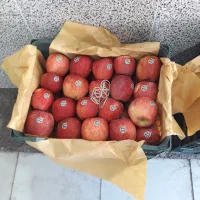 فروش سیب قرمز