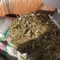 فروش کاه لوبیا نقد و اقساط تحویل دامداری|حیوانات مزرعه|قزوین, |دیوار