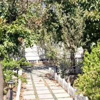 ۵۰۰ باغویلا دربکه شهریار*۱۰۰متربنا*آب برق وگازشهری|فروش خانه و ویلا|شهریار, بکه|دیوار