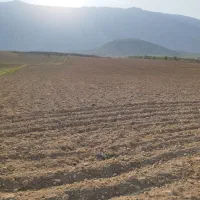 زمین کشاورزی کشت دیم