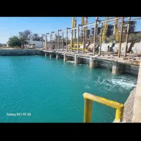 سرپرست گارگاه