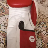 دستکش حرفه‌ای، میت|تجهیزات ورزشی|کرج, دهقان ویلا|دیوار