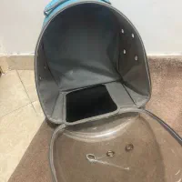 کیف حمل حیوانات