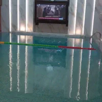 آموزش شنا در سطوح و سنین مختلف