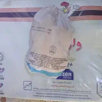 پخش مرغ منجمد  (کالابرگ)