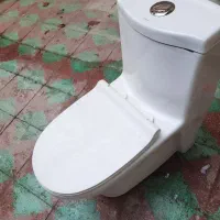 توالت فرنگی