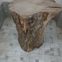 کنده چوب  درخت گردو