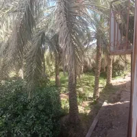 فروش خانه ویلایی تجاری مسکونی در جنت آباد نرماشیر|فروش خانه و ویلا|نرماشیر, |دیوار