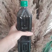 رب انار