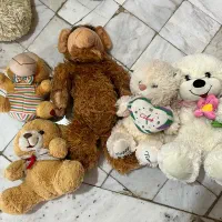 عروسک|اسباب‌‌بازی|رشت, رشتیان|دیوار