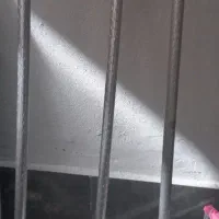 پرده و متعلقات آن
