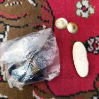 انواع سنگ ومهره کمیاب و کلکسیونی واصل