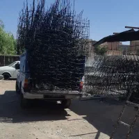 حفاظ (شاخ گوزنی ممتاز) باارسال رایگان|خدمات پیشه و مهارت|اسلام‌شهر, شهرک واوان|دیوار