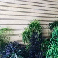 ویلایی شمالی جنوبی پردیس