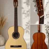گیتار مدلCort ac100sg