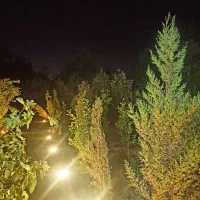 ویلا-باغ
