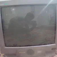 تلویزیون سالم|تلویزیون و پروژکتور|زابل, |دیوار