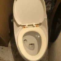 فروش توالت فرنگی|لوازم سرویس بهداشتی|کیش, |دیوار