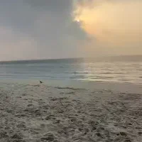 فروش-76-متری-دوخواب-صدف