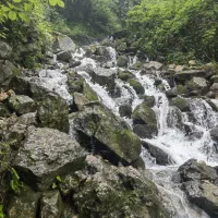 سفر مجانی مازندران گیلان
