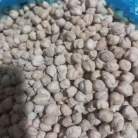 نخود درجه یک زود پز