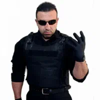بادیگارد ( محافظ شخصی )    حراست ، حفاظت ، همراهی