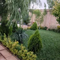 ویلا جهت اجاره روزانه ماه و سالانه...|اجارهٔ کوتاه‌مدت ویلا و باغ|ماهدشت, |دیوار