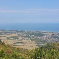 زمین ۵هزار متر/چشم انداز بی نظیر /زیر قیمت