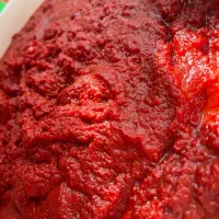 رب‌خانگی