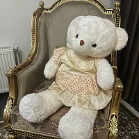 خرس شاسخین بزرگ
