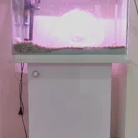 آکواریوم دلسا k580 و میز آکواریوم