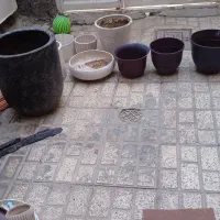 گلدان