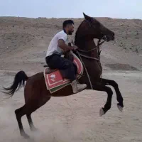 سلام خدمت دوستان