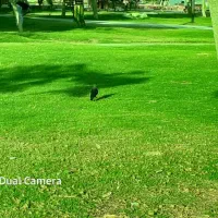 جابجایی مسافر ونامه وجعبه کوچک