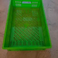 سبد