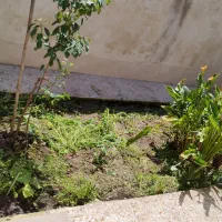 یک واحد اجاره ای بصورت روزانه و ماهانه|اجارهٔ خانه و ویلا|لنگرود, |دیوار