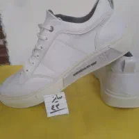 کفش چرمی و اسپورت|کیف، کفش، کمربند|فسا, |دیوار