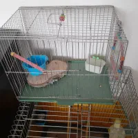قفس بزرگ و کوچیک و لوازم جانبی|لوازم جانبی حیوانات|کرمانشاه, |دیوار