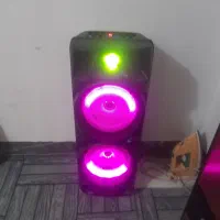 ضبط خونگی