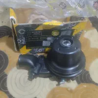 شادگان