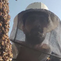 عسل صد در صد طبیعی کنار وحشی هرمزگان و ژل رویال|خوردنی و آشامیدنی|مشهد, ایثارگران|دیوار