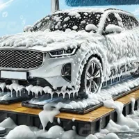 استخدام نیرو کارواش